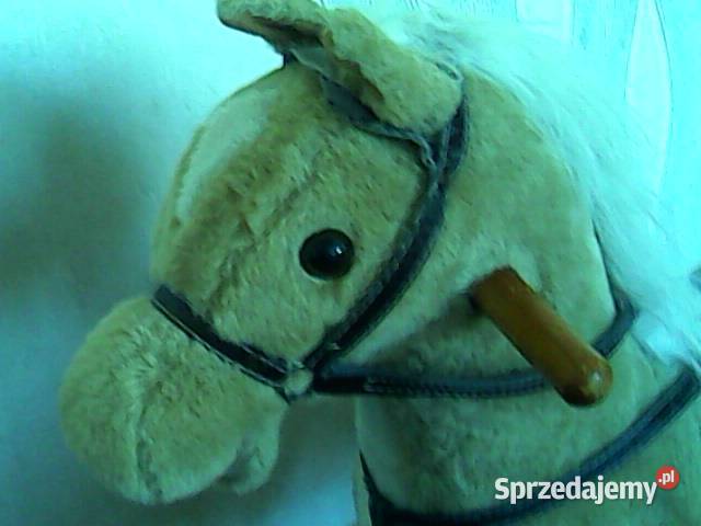 KOŃ na biegunach grający dzieci Zgierz