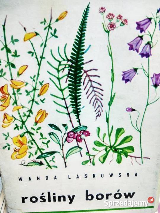 Rośliny borów medycyna naturalna Antykwariat Warszawa sprzedam