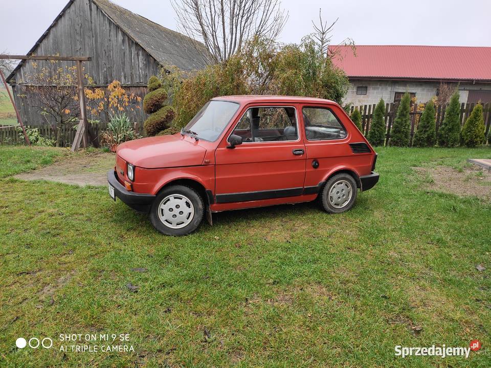 fiat 126p export Maluch Zarejstrowany
