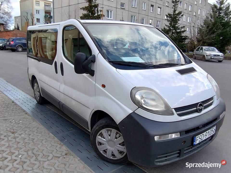 Opel Vivaro 2005 19 Drezdenko