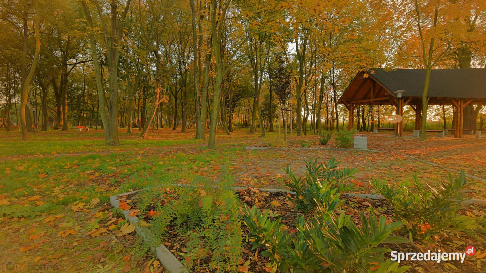 Mieszkanie Pietrzykowice 90m2 3 pok Rok budowy 2025 Mieszkania