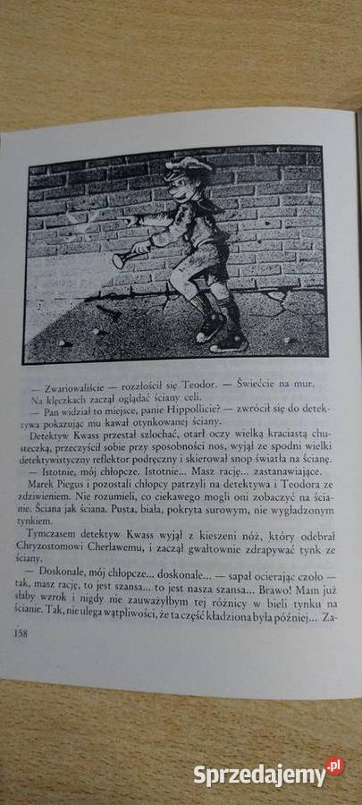 Niewiarygodne przygody Marka Piegusa Lublin