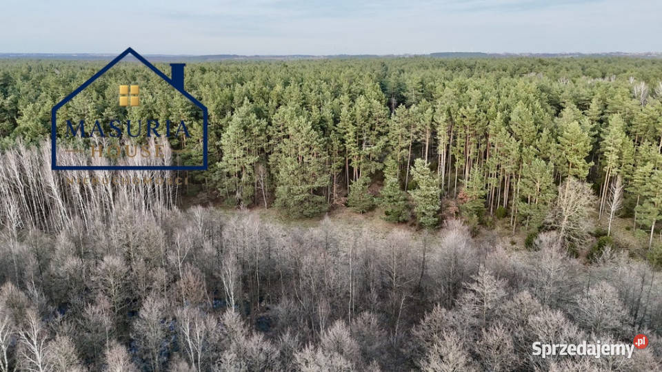 Działka w lesie polana Łapinóż