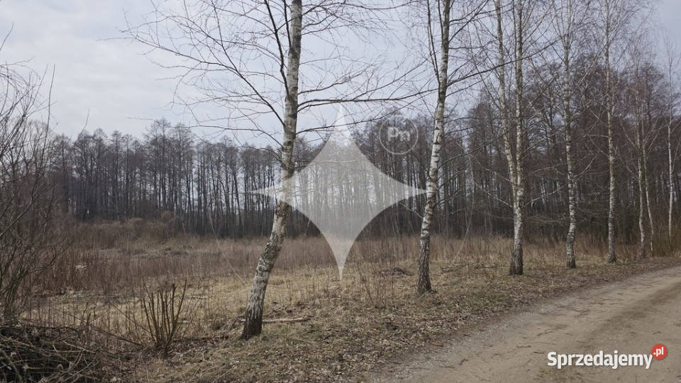 Działka na Mazurach Rogojny jezioro Łaźno WZ warmińsko-mazurskie