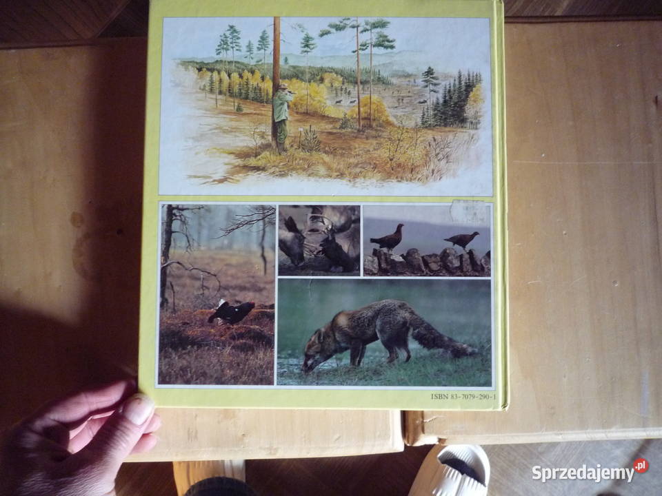 Myślistwo A do Z Elman