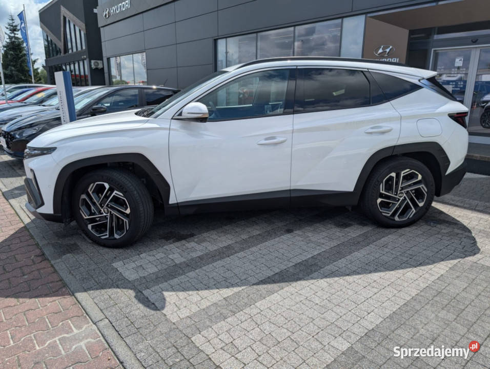 Platinum Sun 16TGDI 48V 7DCT 4WD 160 4/5 wielkopolskie Kalisz