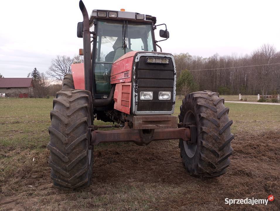 Massey Ferguson 8110 Massey Ferguson lubelskie Hańsk Pierwszy