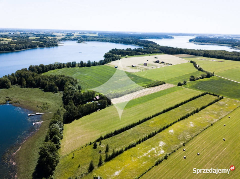 Działka rolna Jeziorem Białym Rajgrodzkim Sprzedaż Romoty