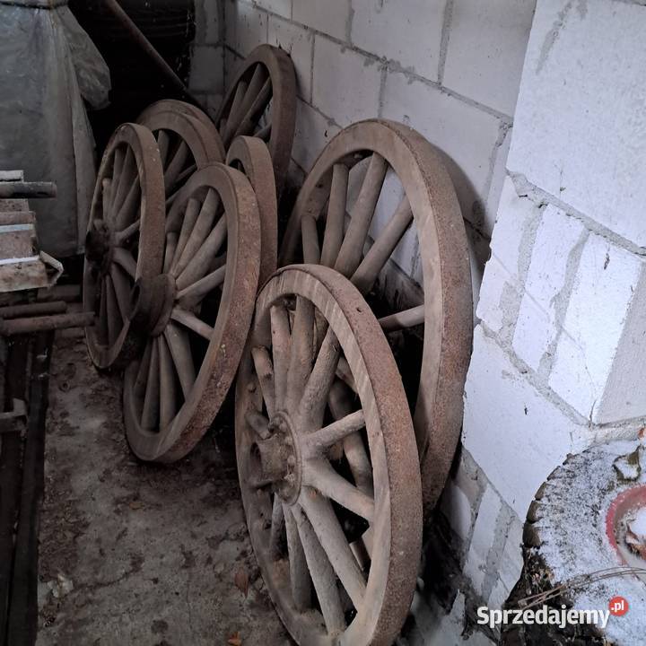 Koła drewniane