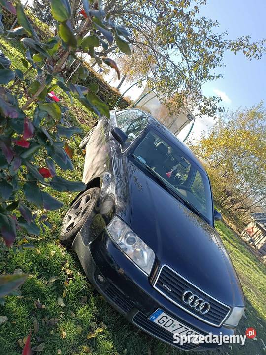 Audi quattro Górowo Iławeckie