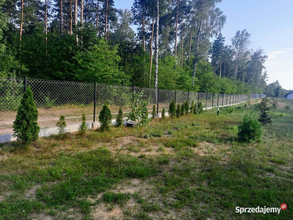 ogrodzenie z siatki Świercze