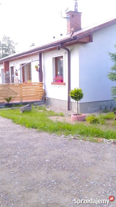 Domowy hotel psów małe rasy bez klatek Luzino