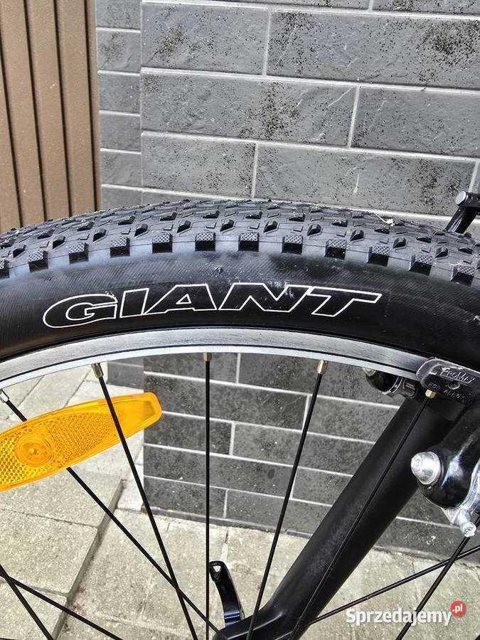 Rower Giant LIV Zielona Góra