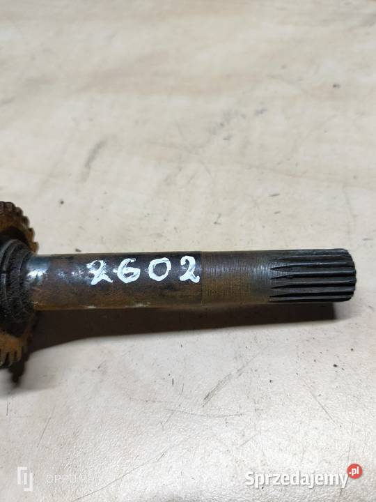 Komar jajko wałek startera Łubno