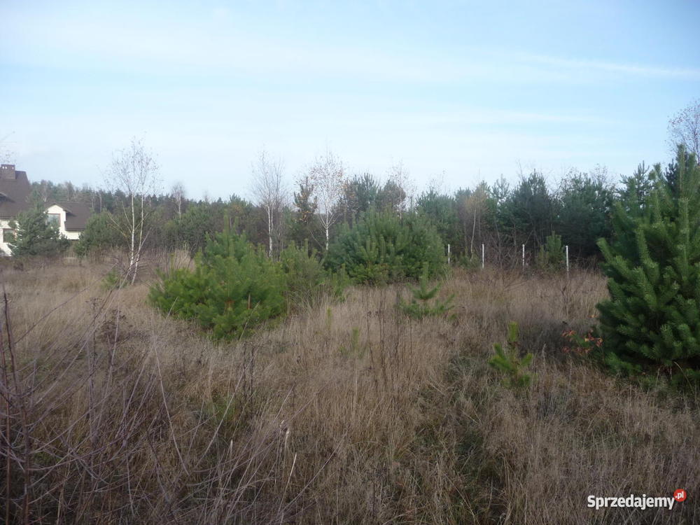 Działka Trzepizury gm Blachownia 96zł/m2 Nieruchomości