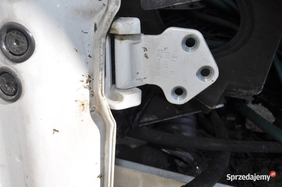 vw t6 zawias drzwi tył prawa strona skrzydełka Sierakowice