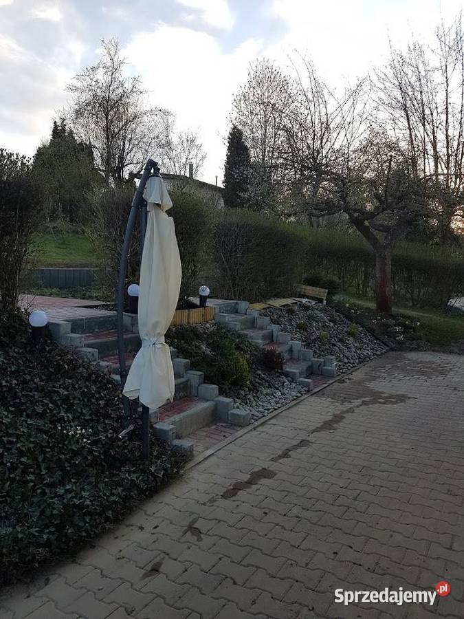 Kompleksowe ogrodnictwo pielęgnacja i wycinka Kraków