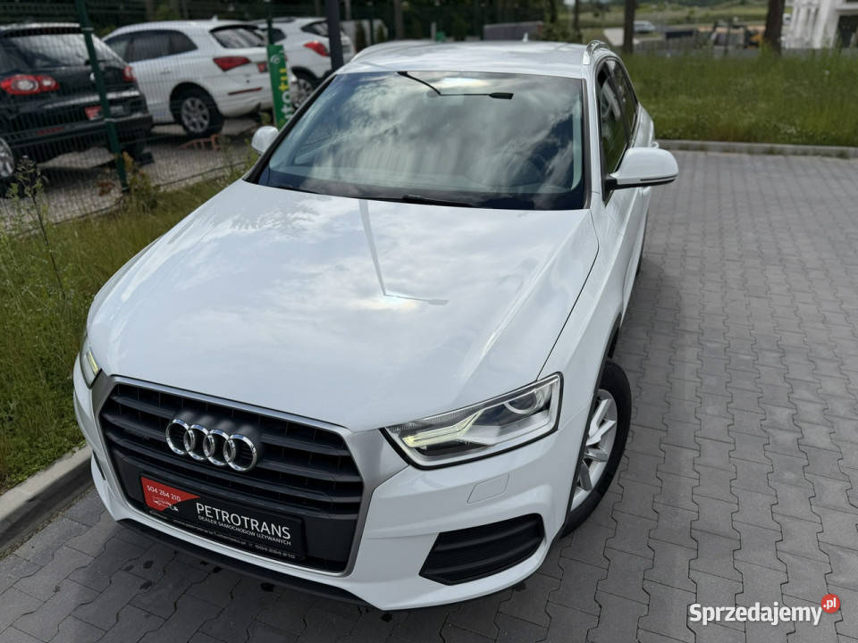Audi Q3 20TDI 150 LED QUATTRO Automat Grzane nieuszkodzony Q3 warmińsko-mazurskie Mrągowo