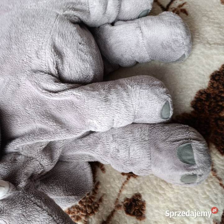 miś maskotka pluszak słoń Poznań