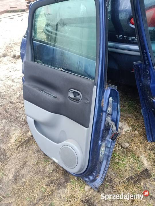 Drzwi lewy tył tylne renault scenic II 2 tef43 osobowe Karoseria Szczecin
