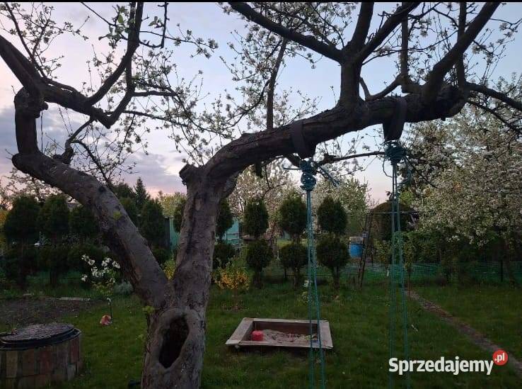 Działka ROD ZNTK Oleśnica dolnośląskie sprzedam