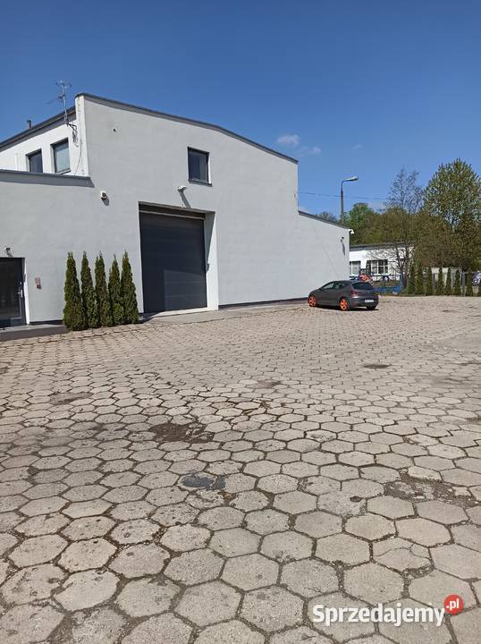 Syndyk wynajmie miejsce w hali wysokiego Chełmża