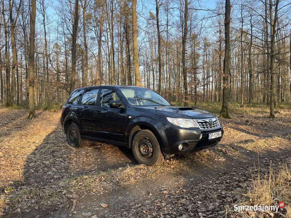 Subaru Forester mały przebieg nieuszkodzony Opole