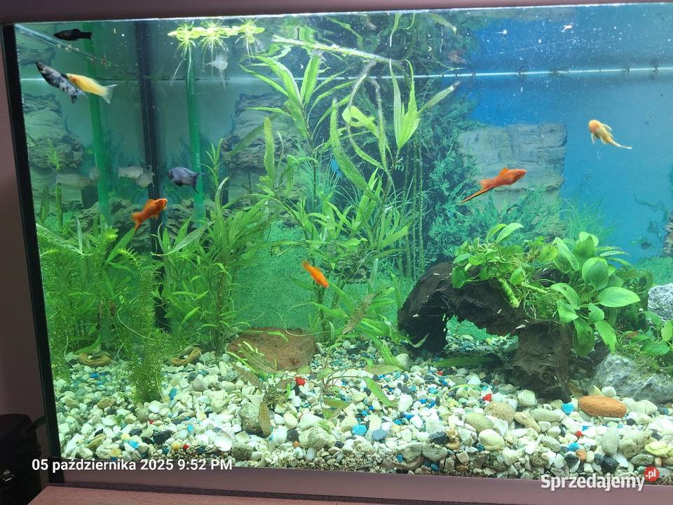 Akrawium 240 l Harta