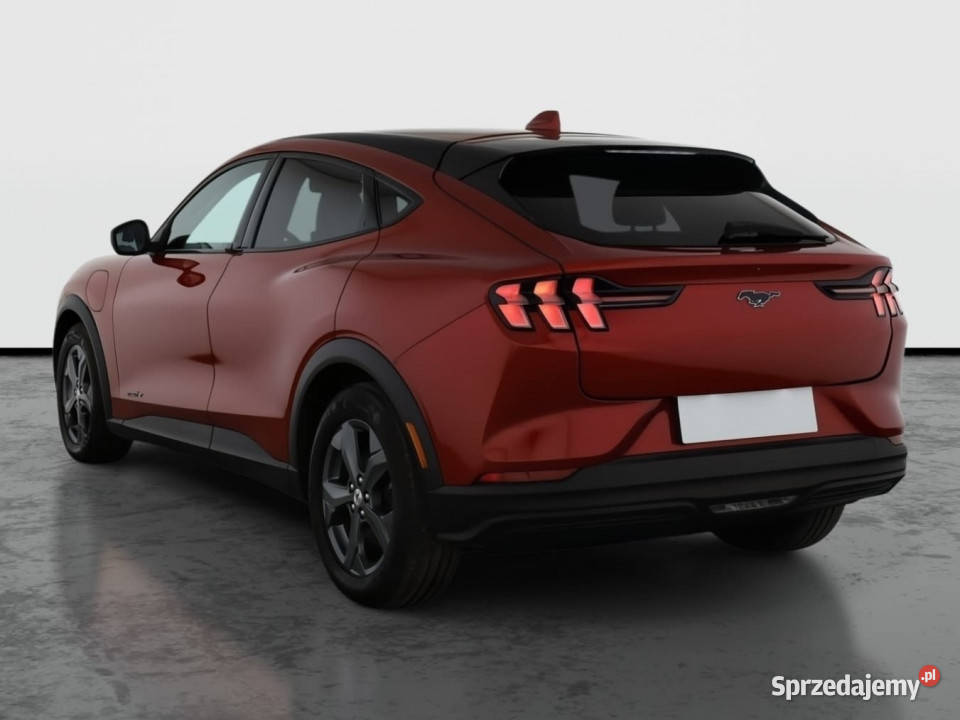 Ford Mustang MachE Standard Range RWD