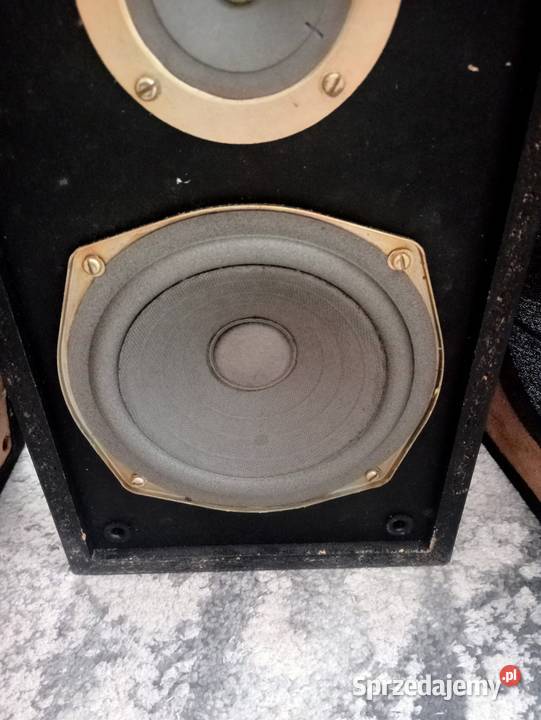 Amator 2kolumny Tonsil Częstochowa