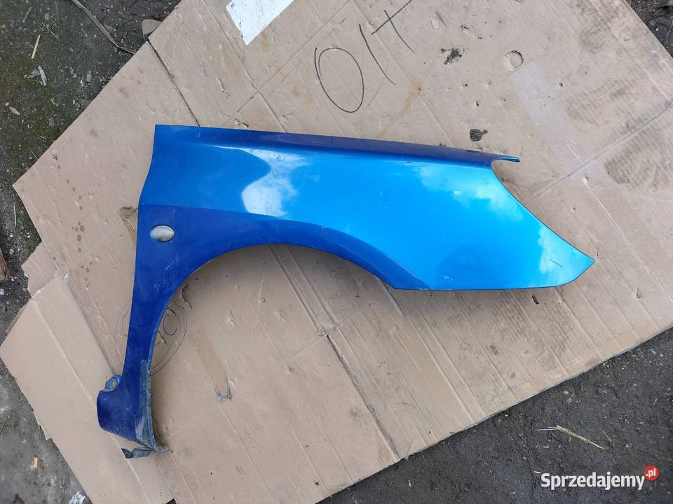 PEUGEOT 307 BŁOTNIK PRAWY PRZÓD NIEBIESKI Kamień-Kolonia