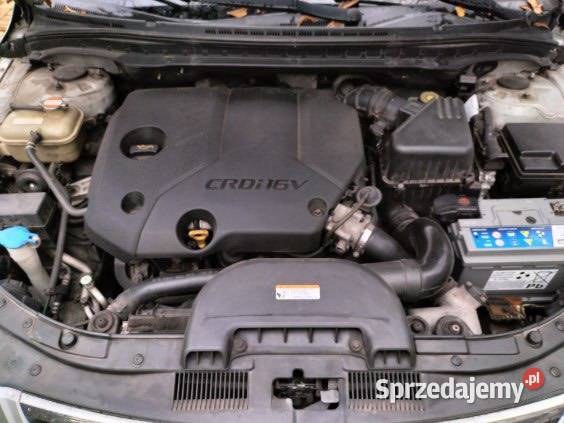 HYUNDAI NISKA nieuszkodzony Łódź