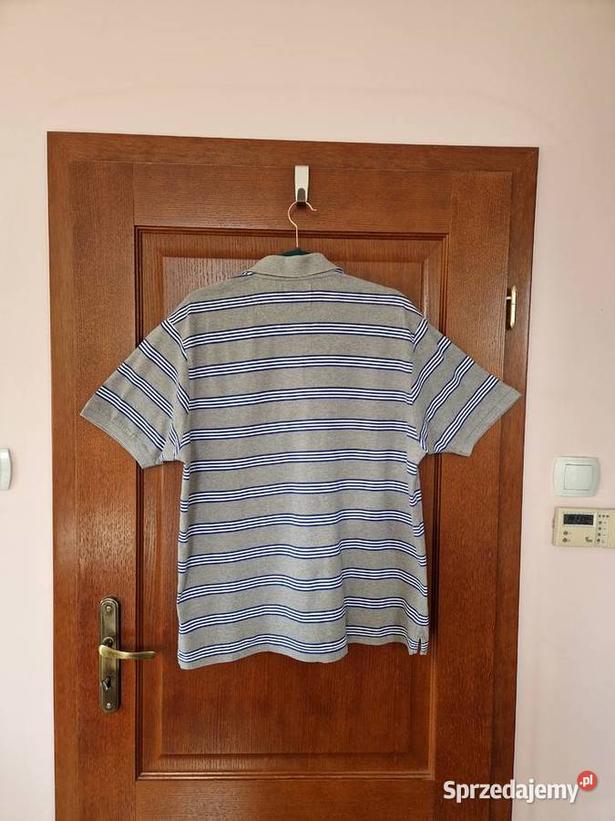 Szara bawełniana koszulka polo w paski męska Bibice