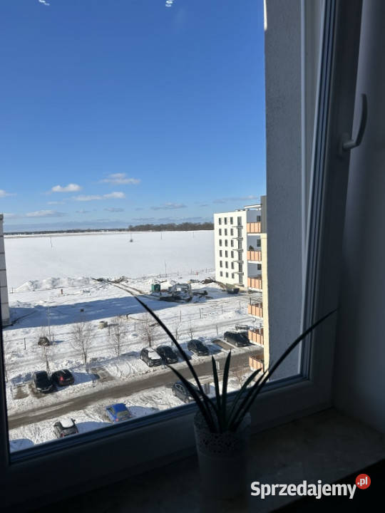 Słoneczne mieszkanie 2 pokoje 4877 m balkon Piętro 5 Słupsk