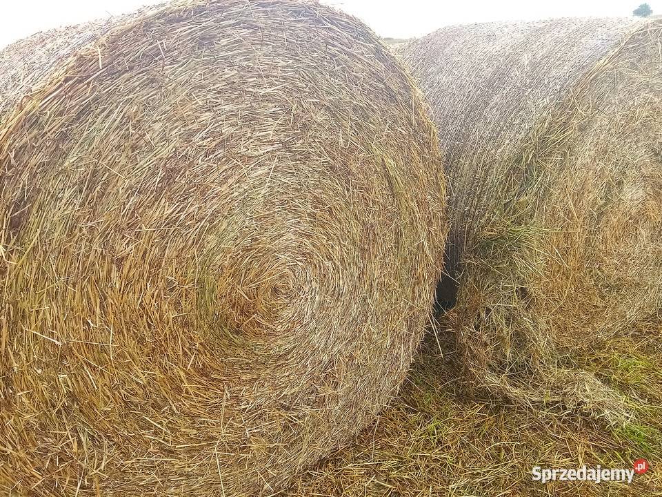 Siano bele 160 nowe z tego roku transport sprzedam