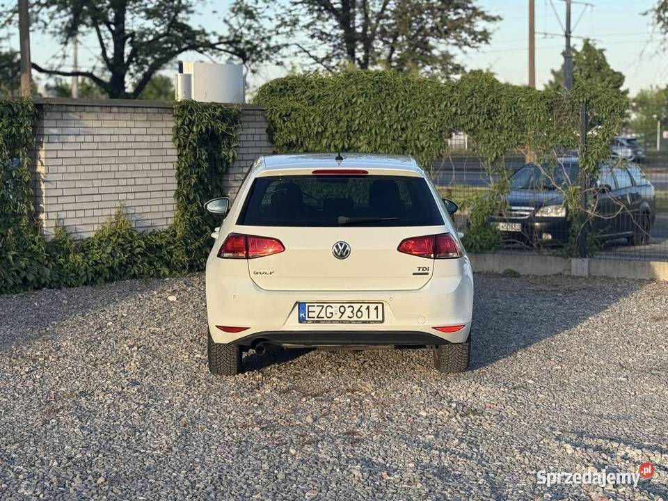 Volkswagen Golf 2013 16 Diesel Manual Radar biały Golf Warszawa