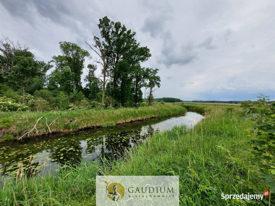 Malownicze działki brzegiem rzekiZielona Góra