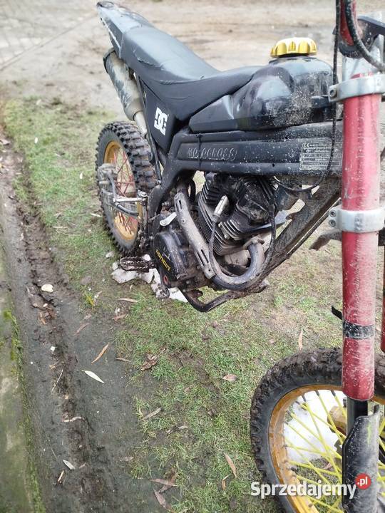 Sprzedam diabolini 250