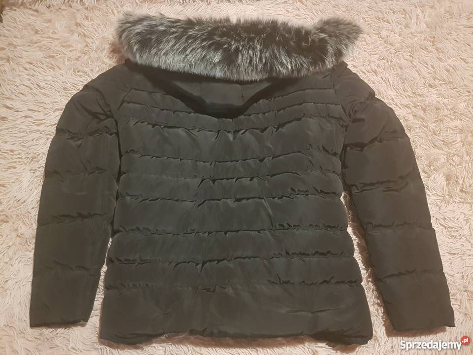 Kurtka Philipp Plein czarna S M L Odzież i bielizna męska Szczecin