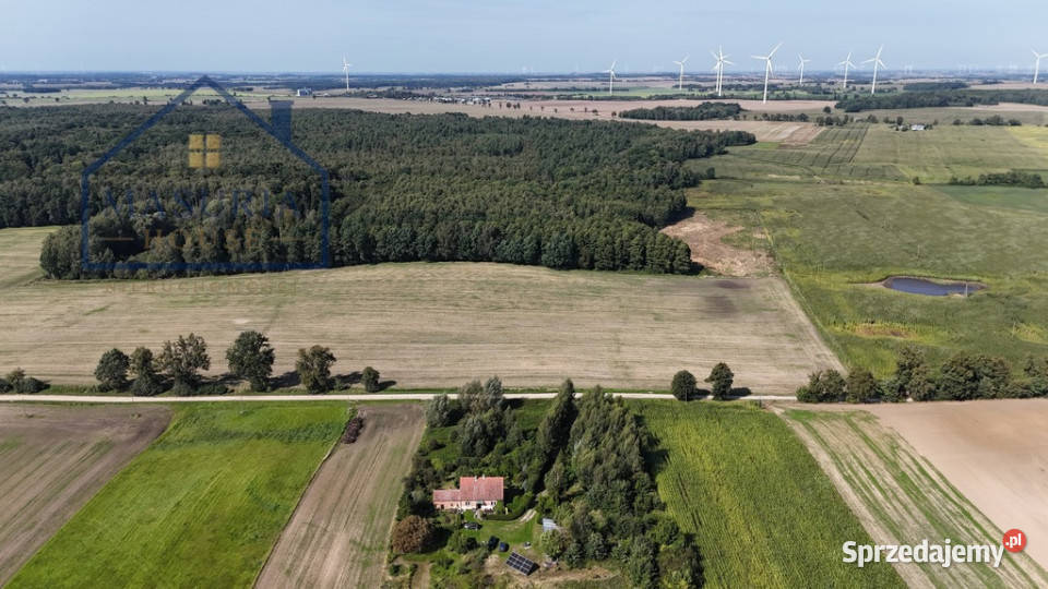 Siedlisko w miejscowości Górki gmStary Dzierzgoń
