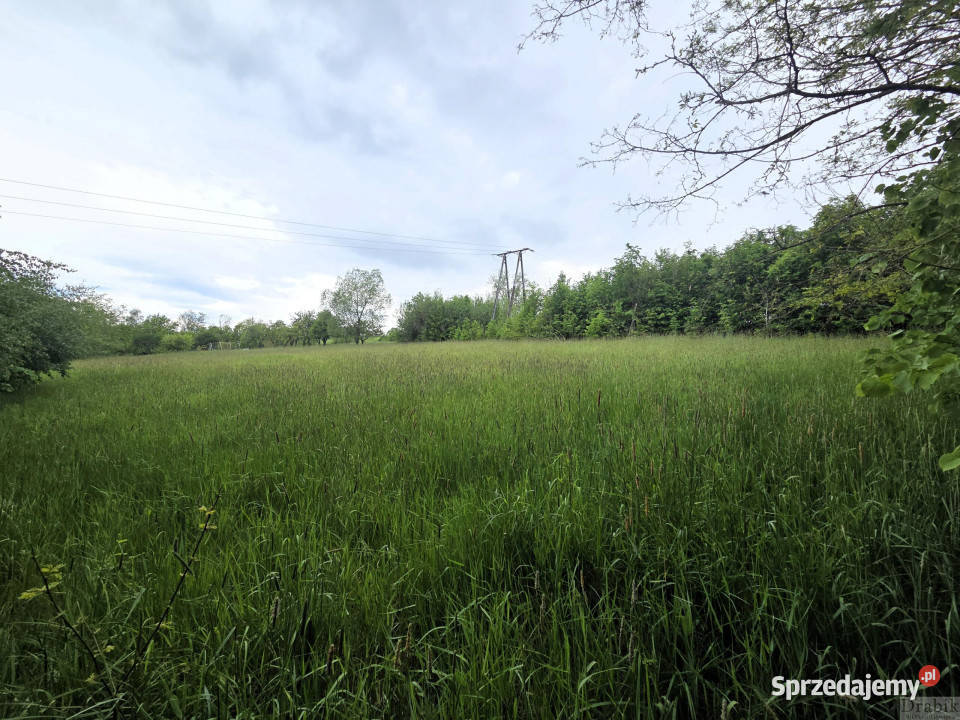 Działkę sprzedam 2385m2 Gorzeń Dolny Dworkowa
