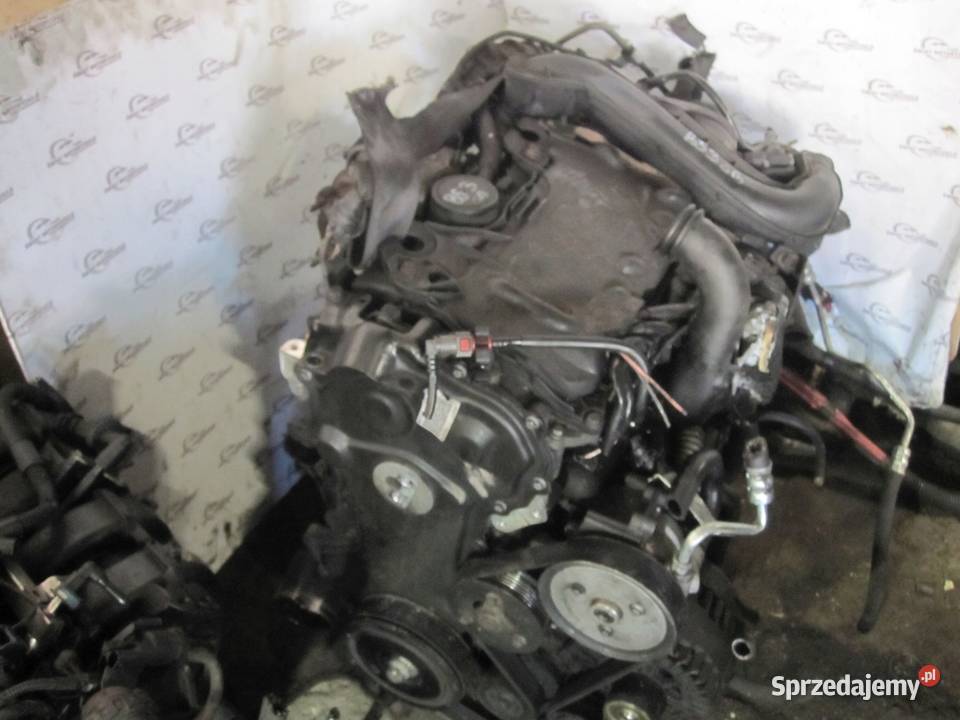 TRAFIC VIVARO PRIMASTAR 20 DCI M9R780 114 07r osobowe Silniki kompletne Kielce