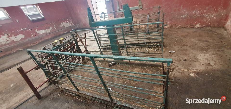 Wagi Do Zwierząt Bydło Trzoda Rolnictwo Żarnowiec