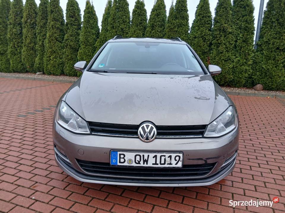 VW Golf 7 CUP wersja z Niemiec wielkopolskie Kajew