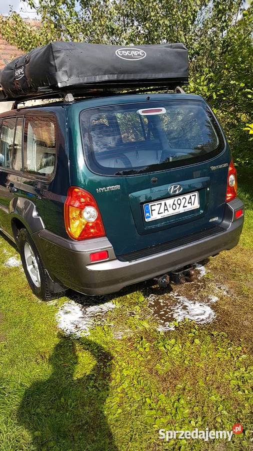 Hyundai Terracan 29 automat 4X4 Sanice