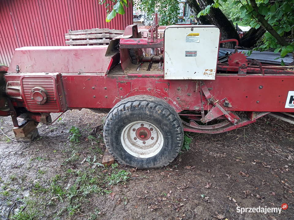 prasa international 440 Gorlice