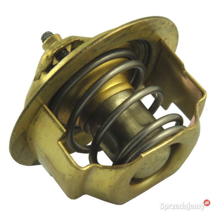Termostat LS XJ R28i R38i i28 i36 40453605 Tajęcina sprzedam