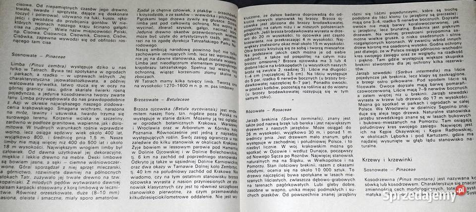 Rośliny chronione w Polsce Władysław Strojny