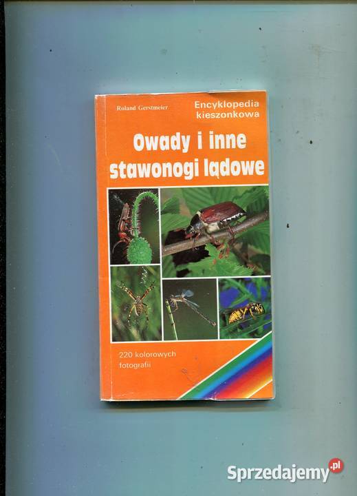 Owady i inne stawonogi lądowe Szczecin