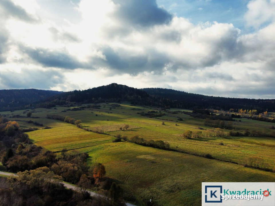 sprzedaży gruntu Jaśliska 3092m2 sprzedam
